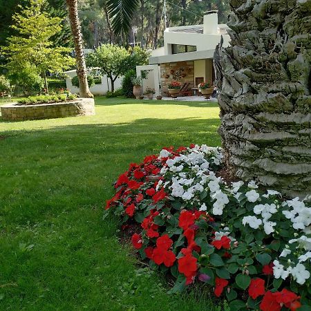 Sani Villa Maria Sani (Chalkidiki) Exterior foto
