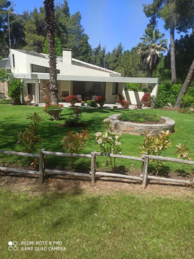 Sani Villa Maria Sani (Chalkidiki) Exterior foto