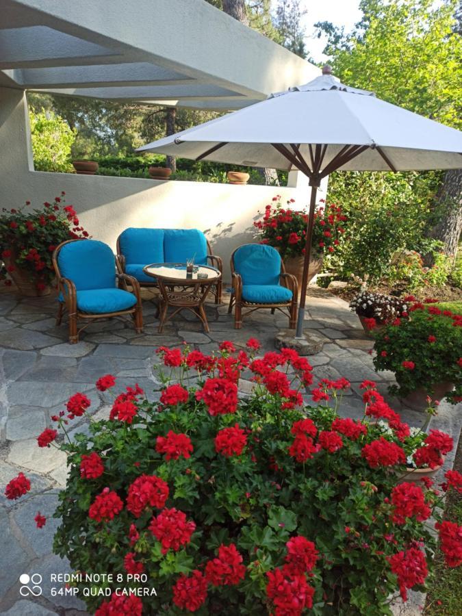 Sani Villa Maria Sani (Chalkidiki) Exterior foto