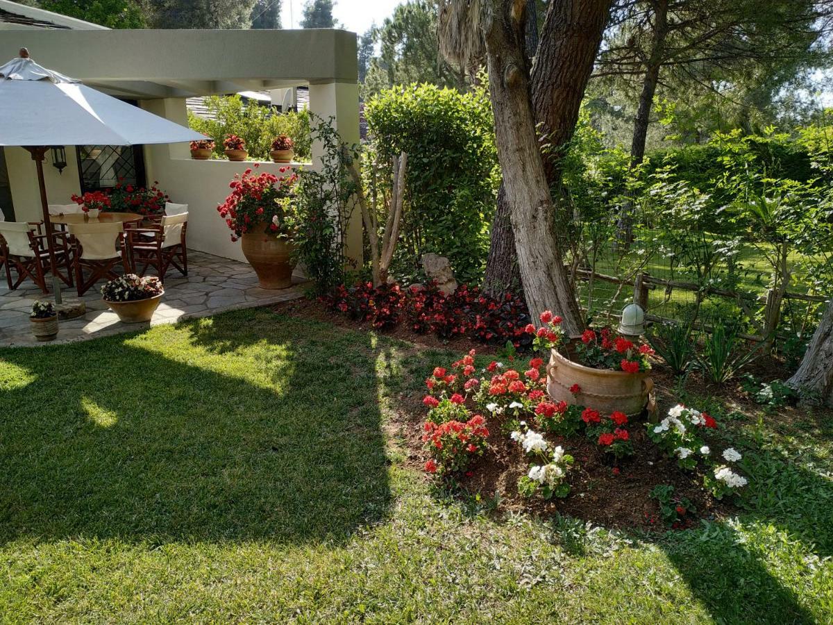 Sani Villa Maria Sani (Chalkidiki) Exterior foto